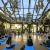Le dipendenti Acquaviva SpA fanno yoga in azienda
